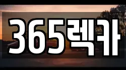 365렉카
