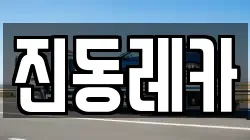 진동레카