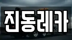 진동레카