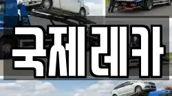 국제레카