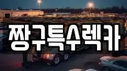 짱구특수렉카