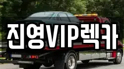 경상남도 창원시 의창구 대산면 렉카, 특수렉카, 차량탁송, 견인운송