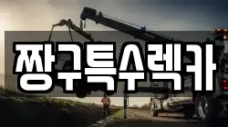 경상남도 창원시 진해구 렉카, 특수렉카, 차량탁송, 견인운송