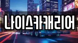 나이스카캐리어