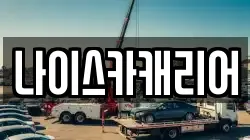 나이스카캐리어
