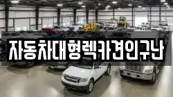 자동차대형렉카견인구난