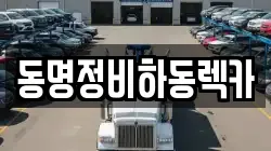 동명정비하동렉카