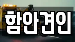 함안견인