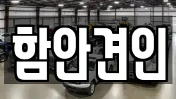 함안견인