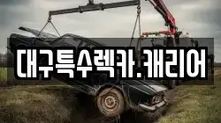 대구특수렉카.캐리어