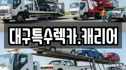 대구특수렉카.캐리어