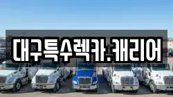 대구특수렉카.캐리어