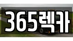 365렉카