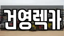 건영렉카