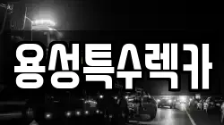 용성특수렉카