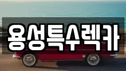용성특수렉카