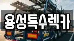 용성특수렉카