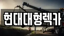 경상북도 경주시 구황동 렉카, 특수렉카, 차량탁송, 견인운송