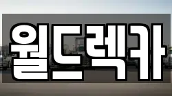 경상북도 경주시 동천동 렉카, 특수렉카, 차량탁송, 견인운송