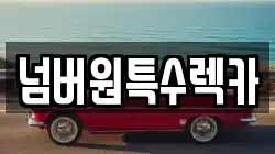 넘버원특수렉카