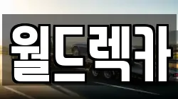 월드렉카