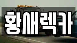 황새렉카