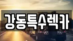 경상북도 경주시 조양동 렉카, 특수렉카, 차량탁송, 견인운송