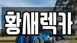 황새렉카