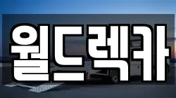 월드렉카