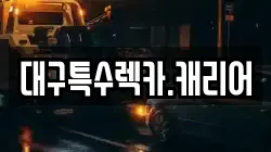 대구특수렉카.캐리어