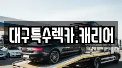 대구특수렉카.캐리어