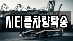 시티콜차량탁송