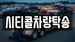 시티콜차량탁송