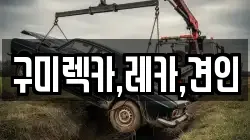 구미렉카,레카,견인