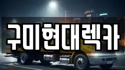 경상북도 구미시 장천면 렉카, 특수렉카, 차량탁송, 견인운송