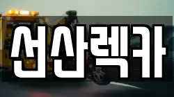 선산렉카