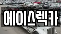에이스렉카