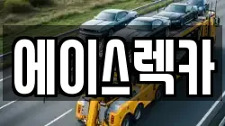 에이스렉카