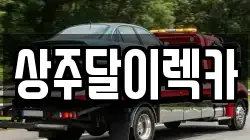 상주달이렉카