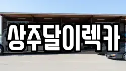상주달이렉카