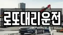 로또대리운전