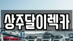 상주달이렉카