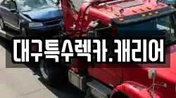 대구특수렉카.캐리어