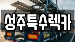 성주특수렉카