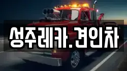 성주레카.견인차