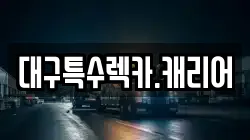 대구특수렉카.캐리어
