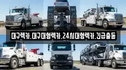 경상북도 성주군 월항면 렉카, 특수렉카, 차량탁송, 견인운송