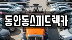 동안동스피드렉카