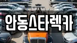안동스타렉카