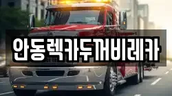 안동렉카두꺼비레카